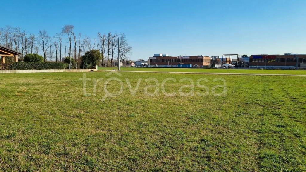 immagine annuncio 3 di 6