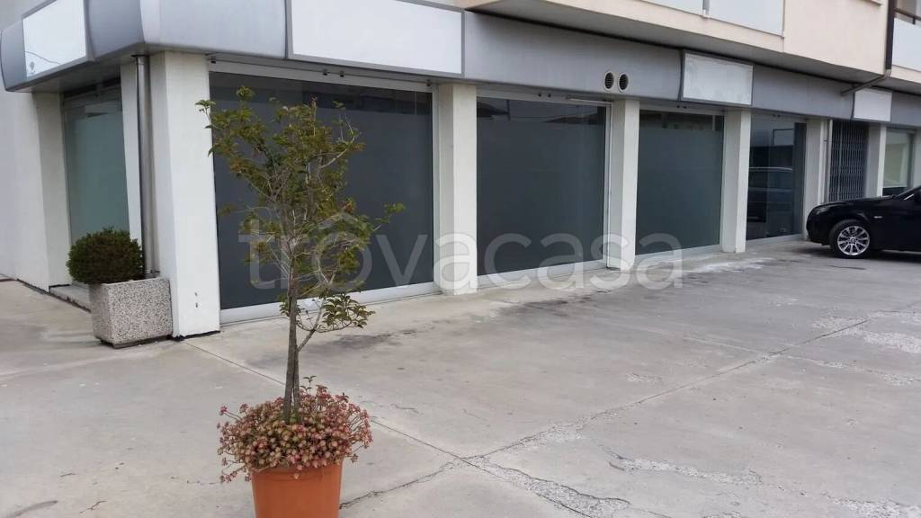 immagine annuncio 2 di 8