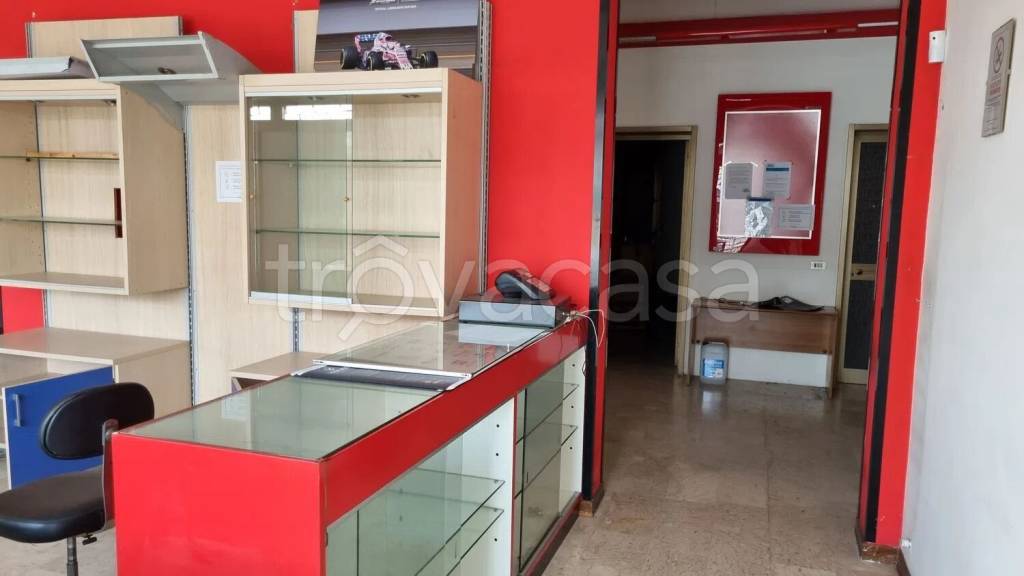 immagine annuncio 8 di 15