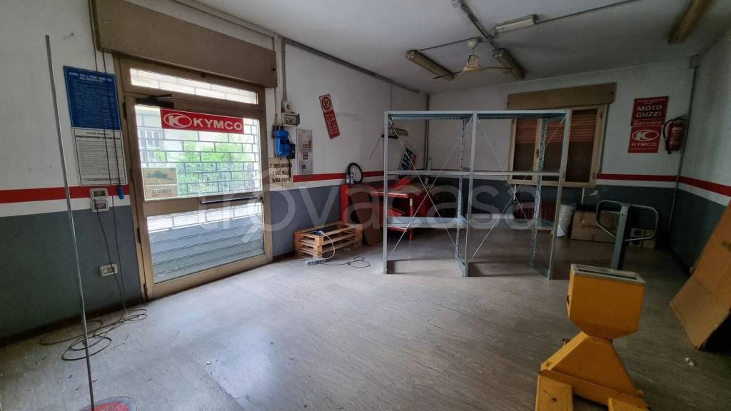 immagine annuncio 14 di 15