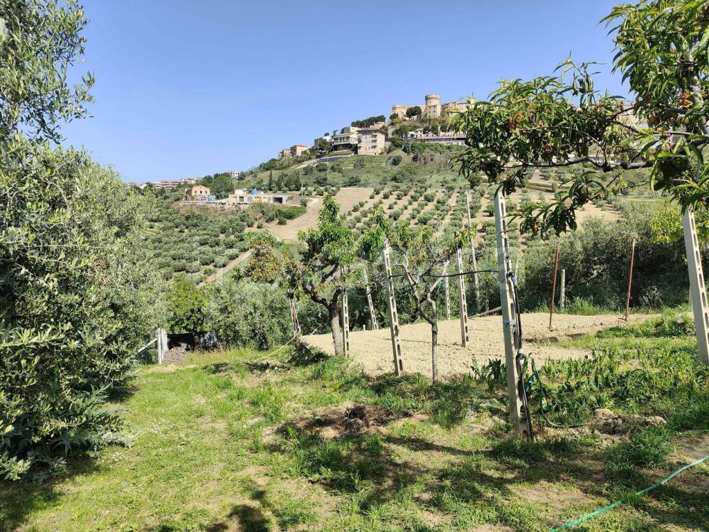 immagine annuncio 11 di 15