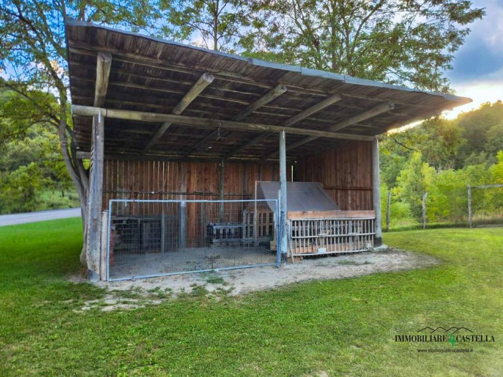 immagine annuncio 9 di 15