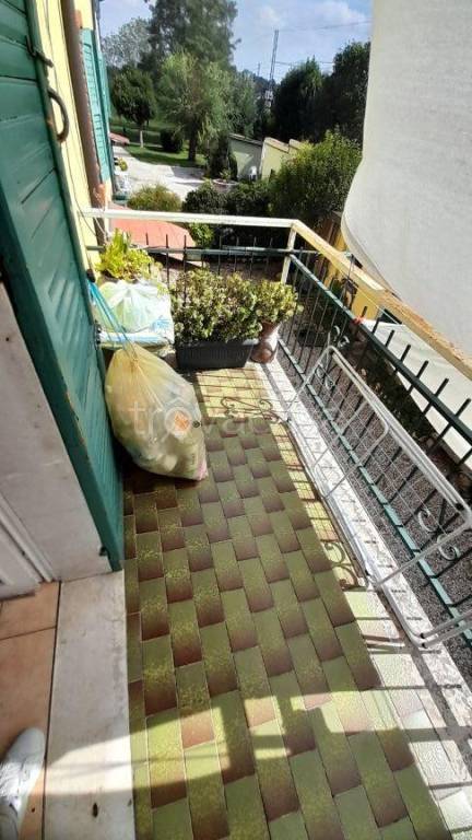 immagine annuncio 10 di 14