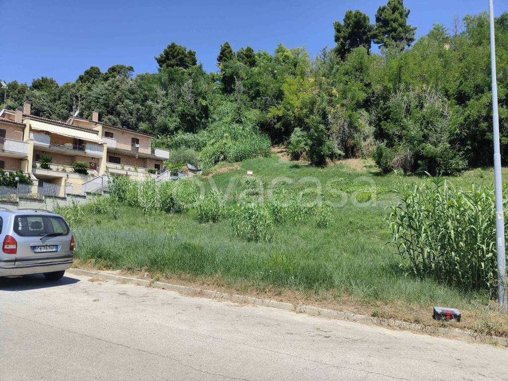 immagine annuncio 6 di 15