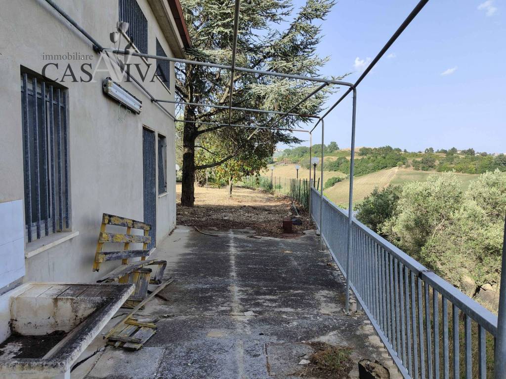 immagine annuncio 13 di 15