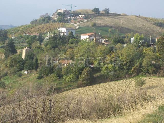 immagine annuncio 6 di 7