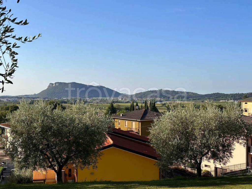 immagine annuncio 4 di 8