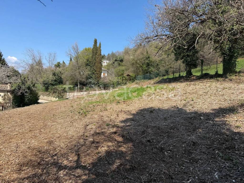 immagine annuncio 7 di 13