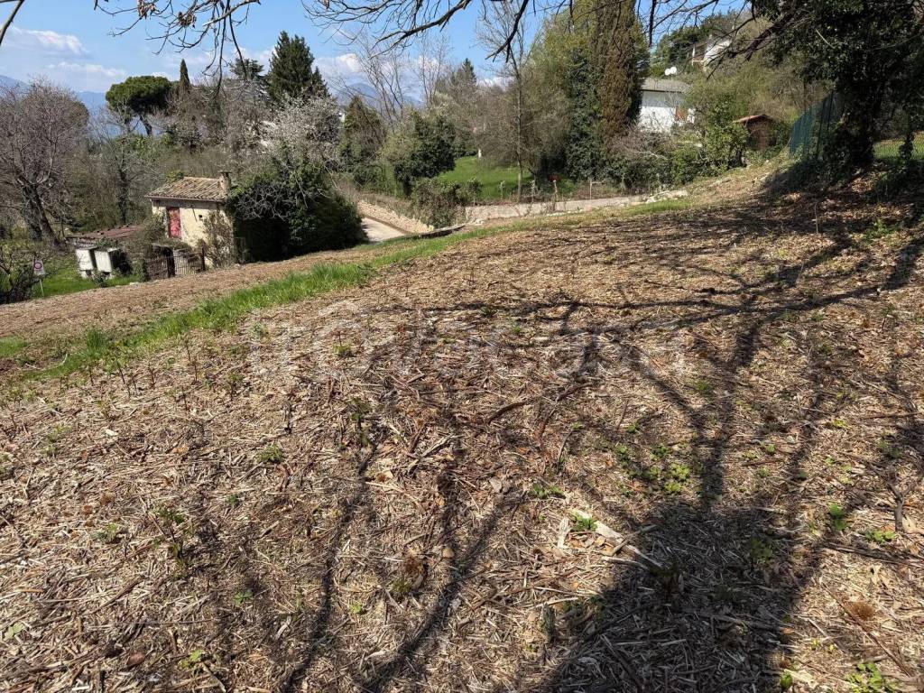 immagine annuncio 9 di 13