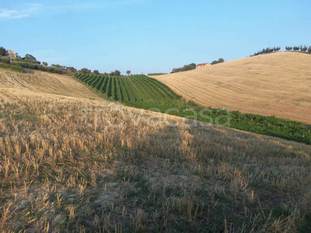 immagine annuncio 3 di 7