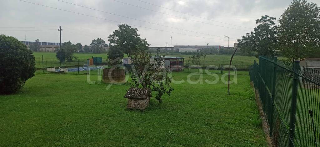 immagine annuncio 5 di 8