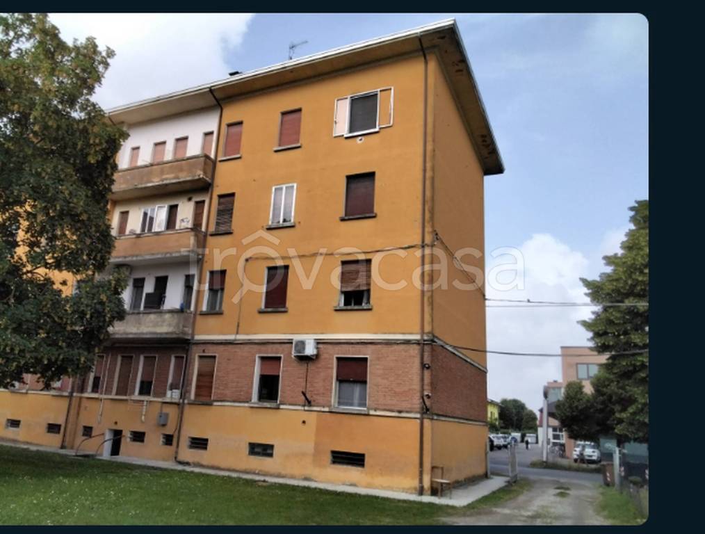 immagine annuncio 5 di 12
