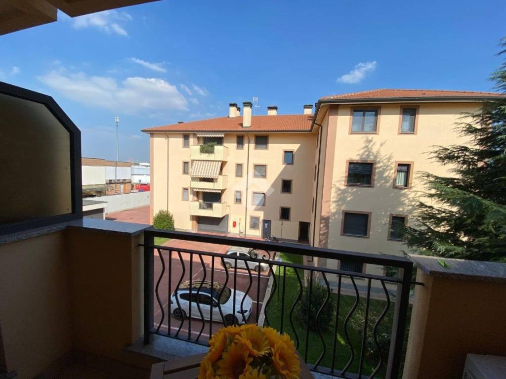 immagine annuncio 7 di 15