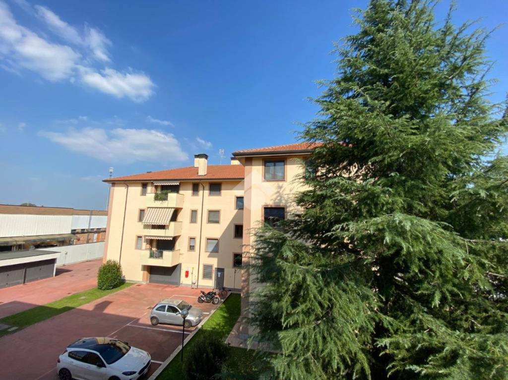 immagine annuncio 4 di 15