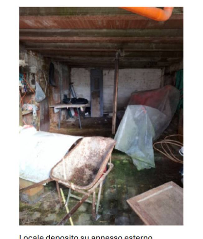 immagine annuncio 10 di 13