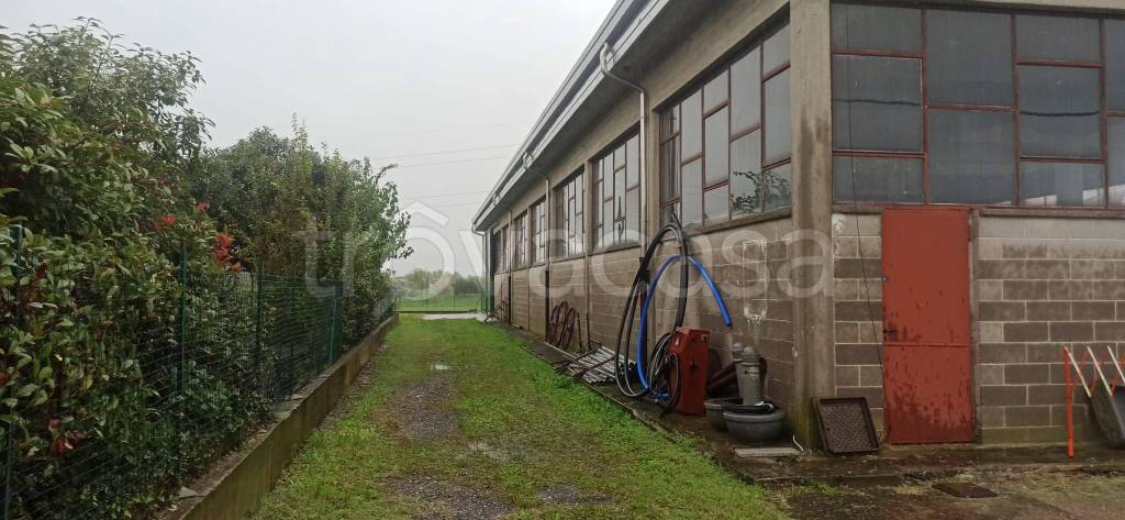 immagine annuncio 3 di 11