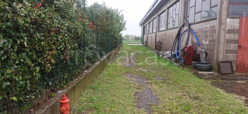 immagine annuncio 4 di 11