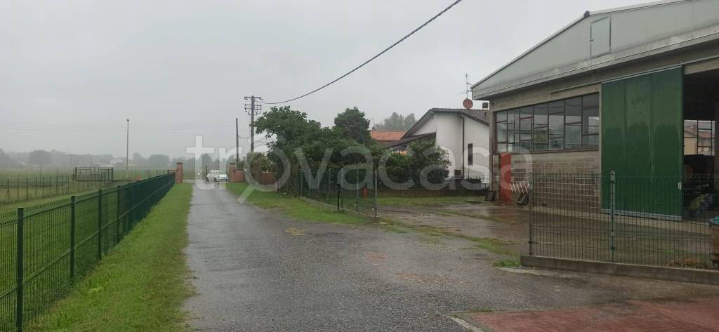 immagine annuncio 5 di 11