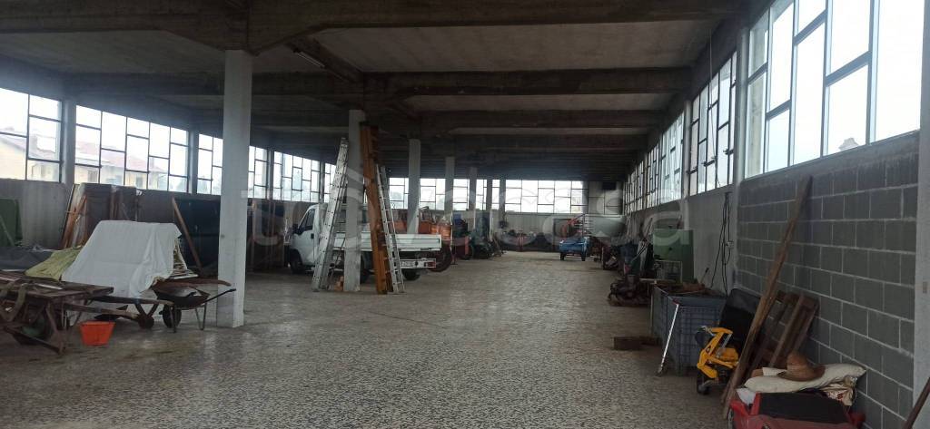 immagine annuncio 8 di 11