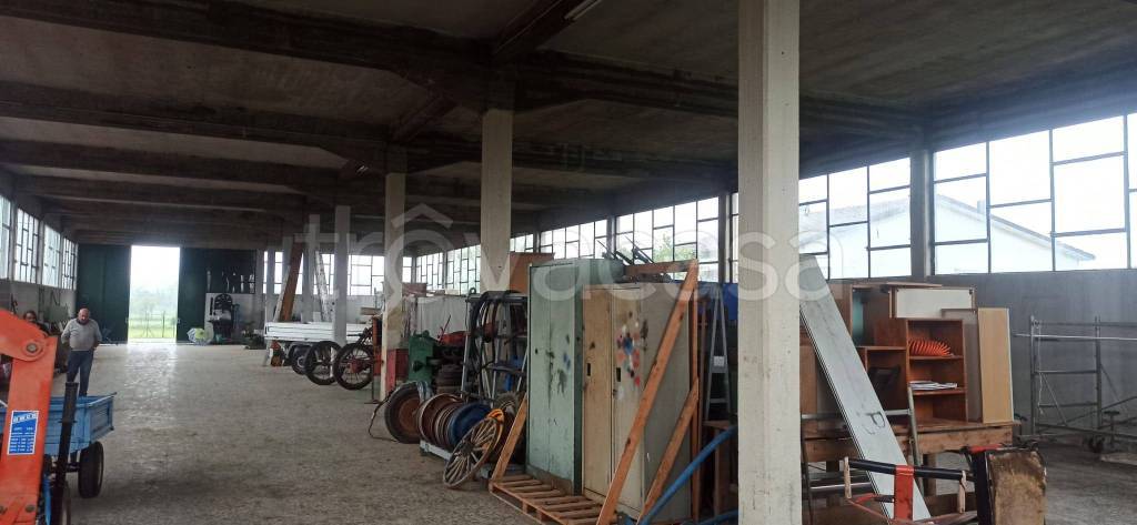 immagine annuncio 10 di 11