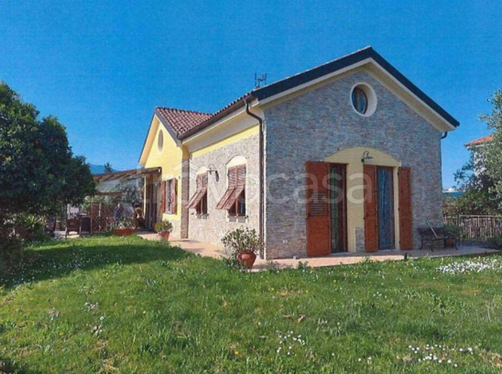 immagine annuncio 5 di 12