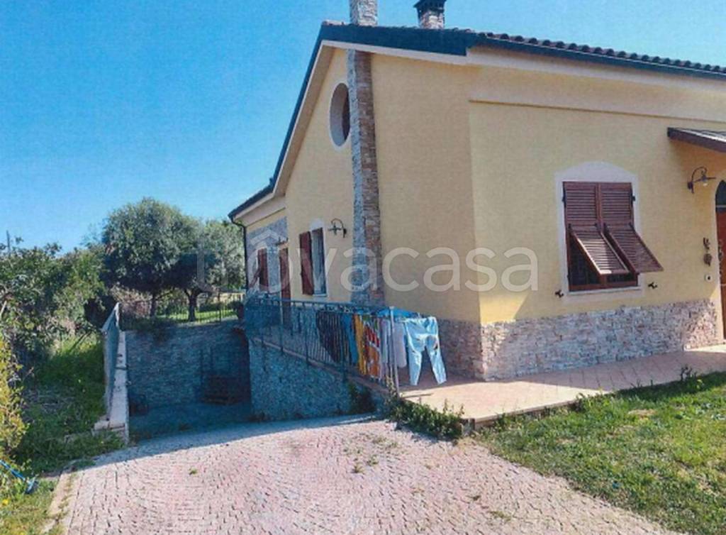 immagine annuncio 7 di 12
