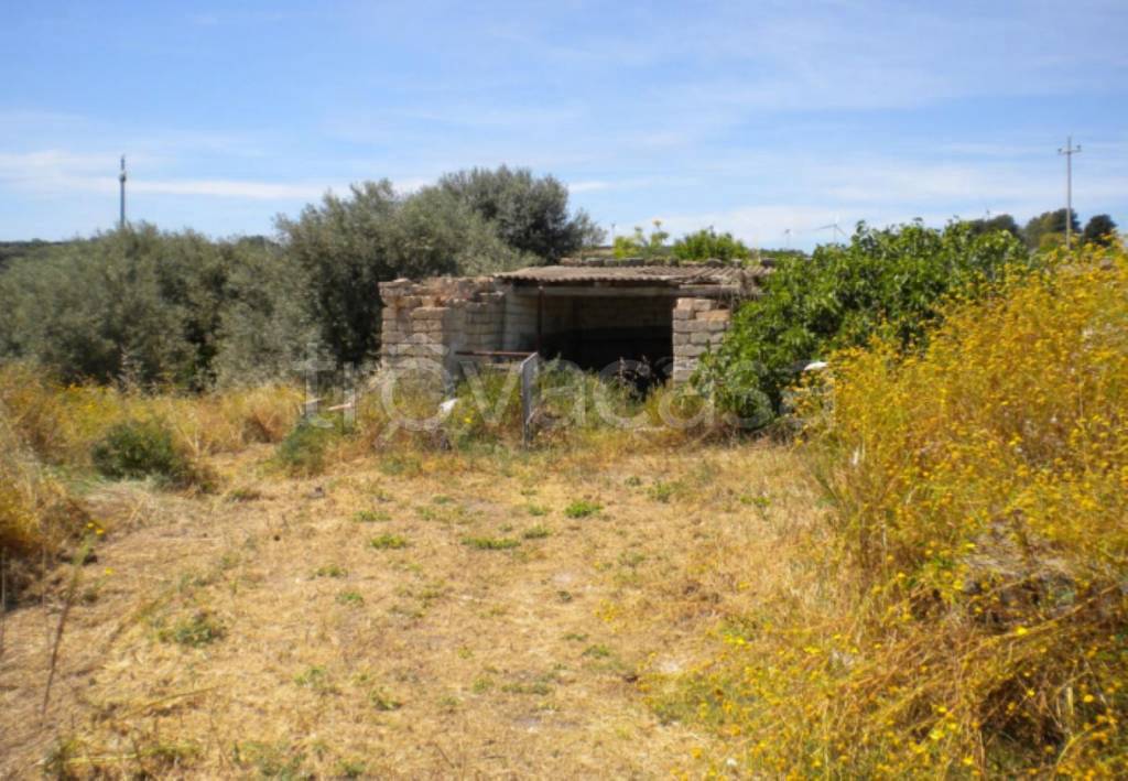 immagine annuncio 6 di 14