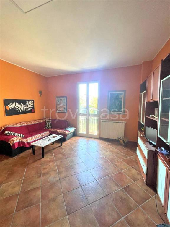 immagine annuncio 2 di 12