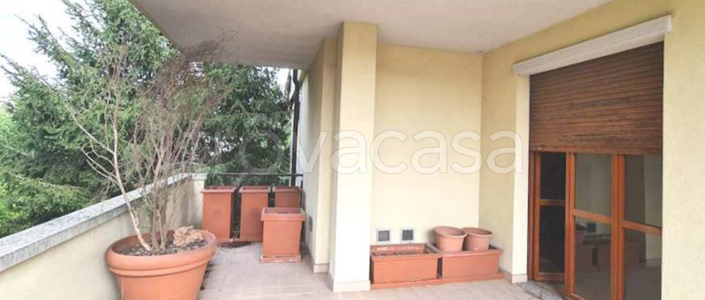 immagine annuncio 8 di 12