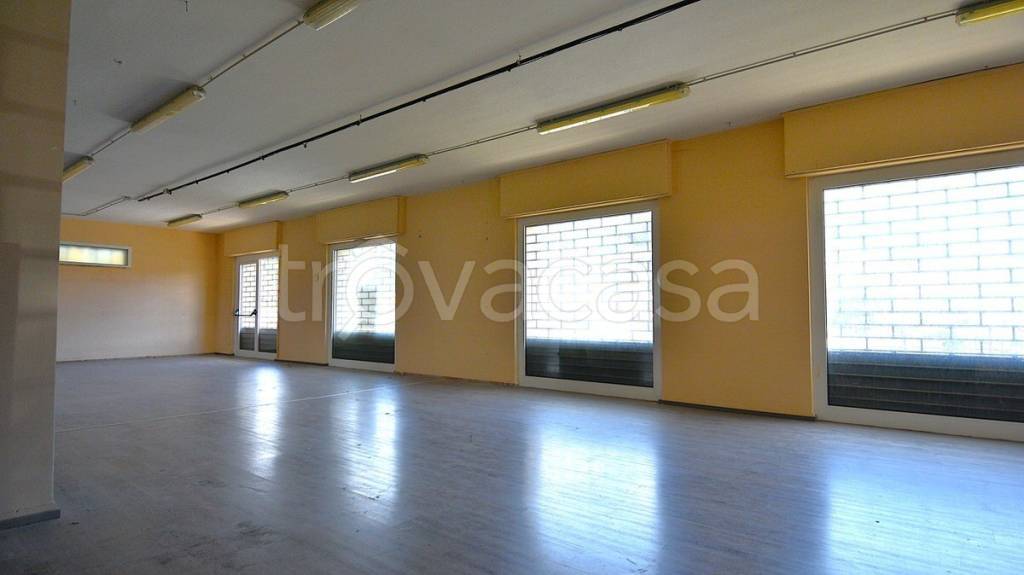 immagine annuncio 5 di 8