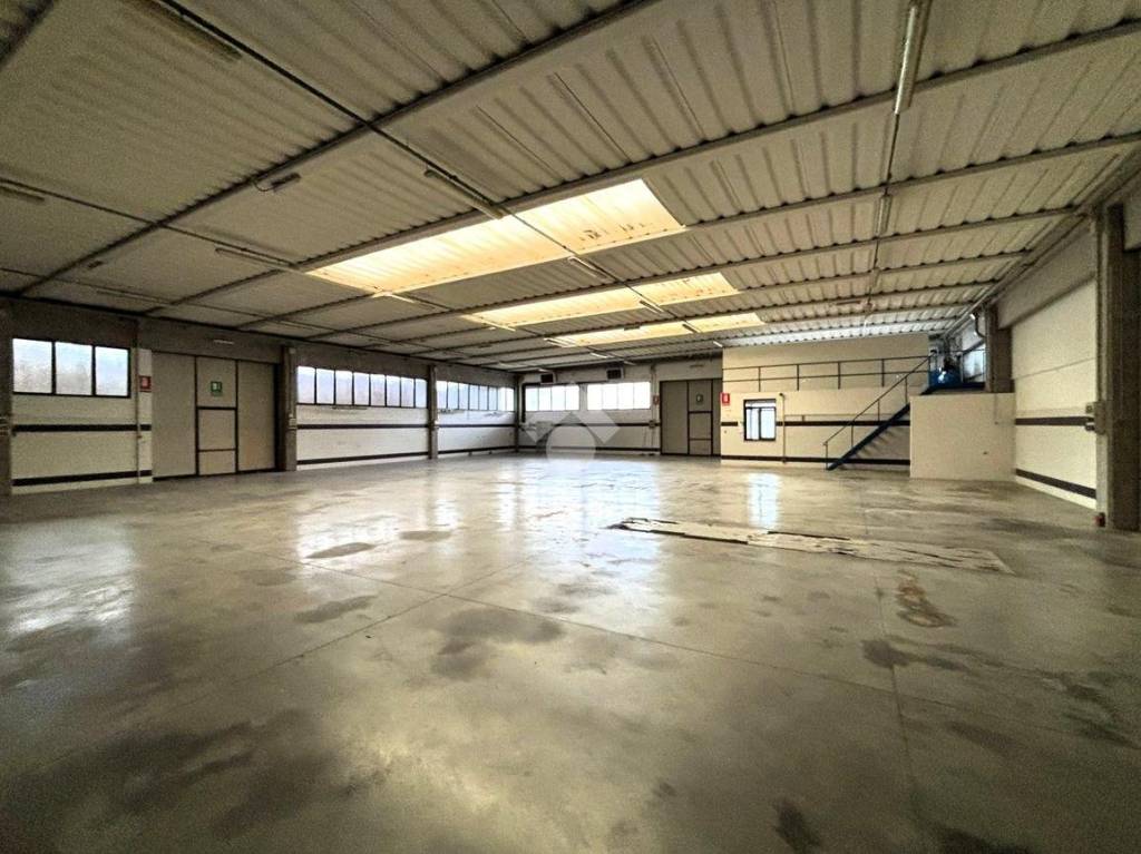 immagine annuncio 1 di 13