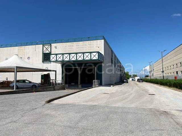 immagine annuncio 8 di 14