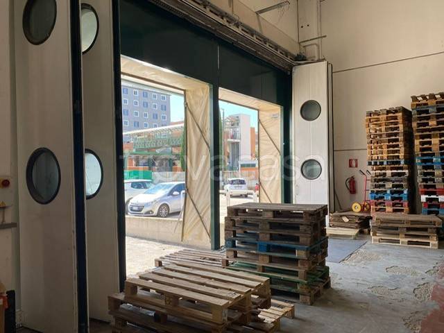 immagine annuncio 9 di 14