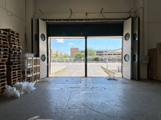 immagine annuncio 12 di 14