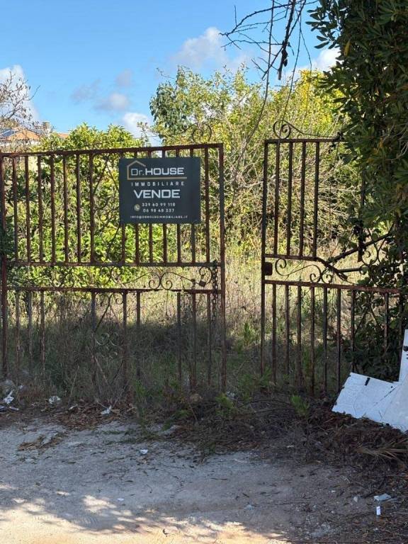 immagine annuncio 2 di 4