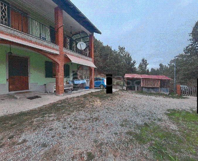 immagine annuncio 4 di 12