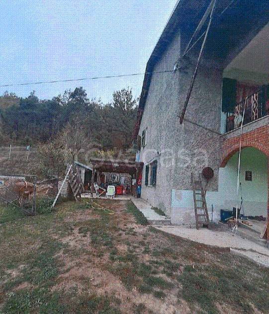 immagine annuncio 6 di 12