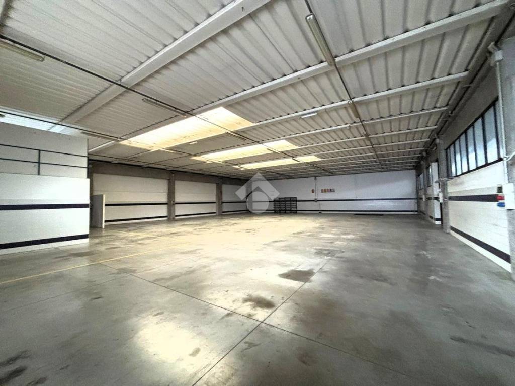 immagine annuncio 1 di 13