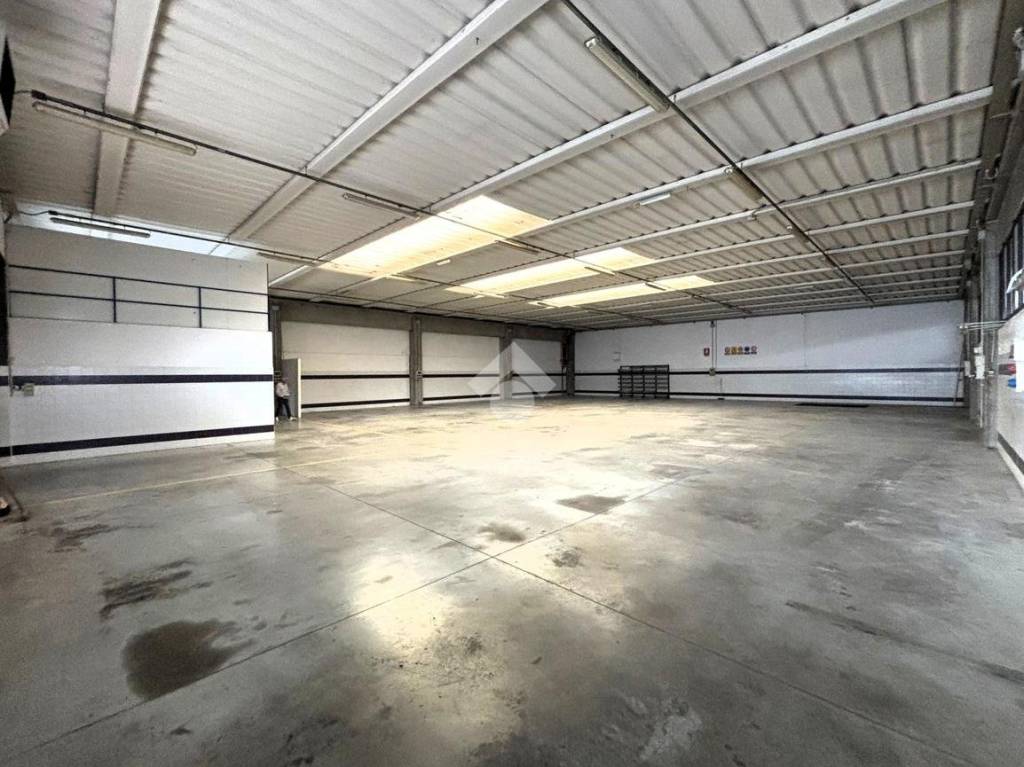 immagine annuncio 2 di 13