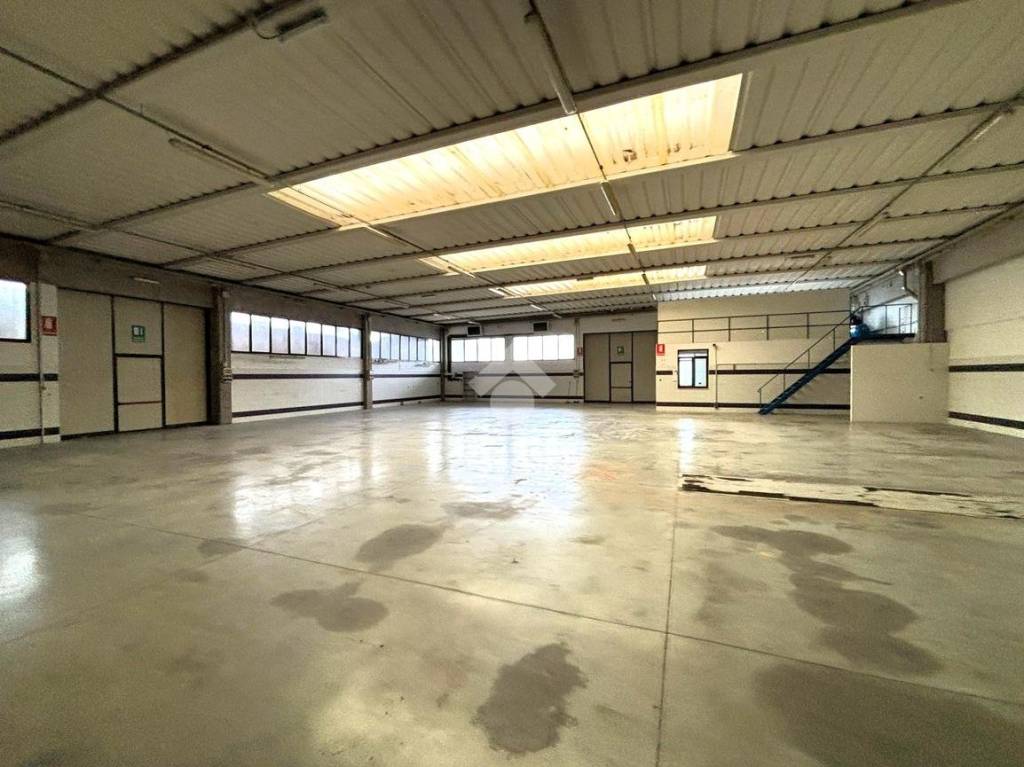 immagine annuncio 4 di 13