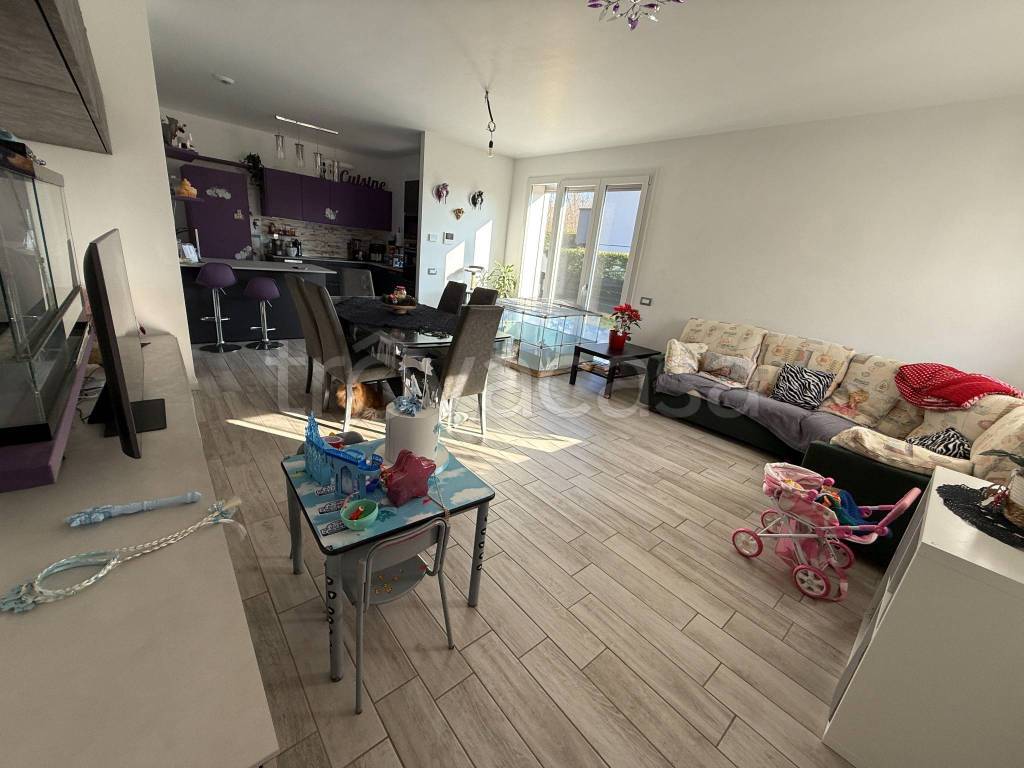 immagine annuncio 7 di 15