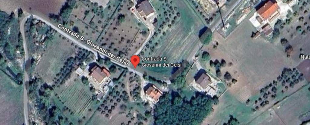 immagine annuncio 5 di 12