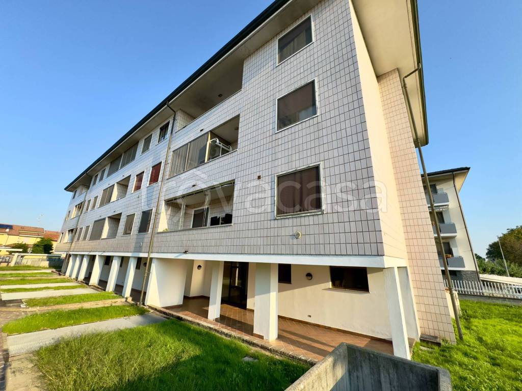 immagine annuncio 3 di 14