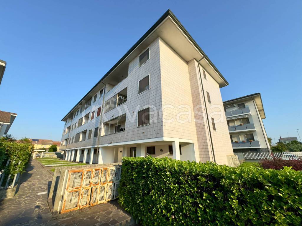 immagine annuncio 4 di 14