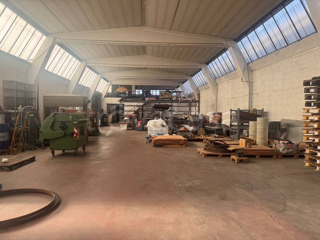 immagine annuncio 8 di 15