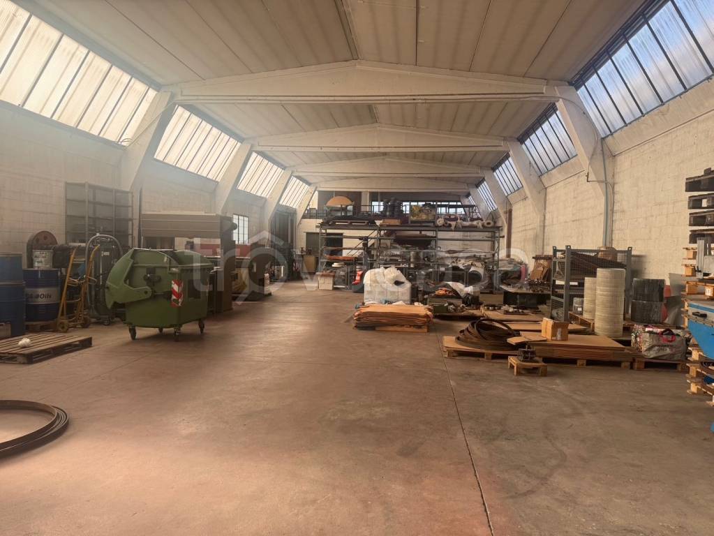 immagine annuncio 9 di 15