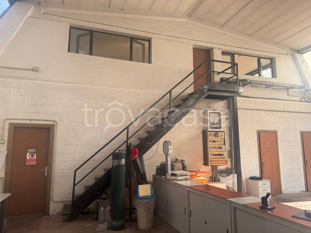 immagine annuncio 10 di 15