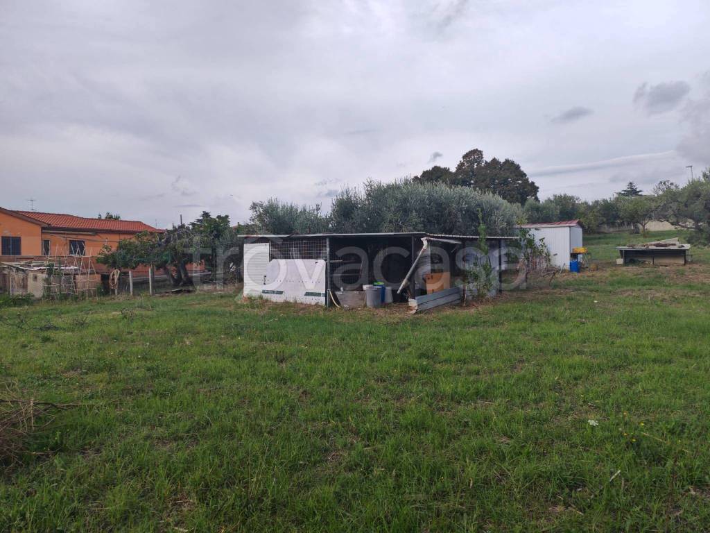 immagine annuncio 13 di 15