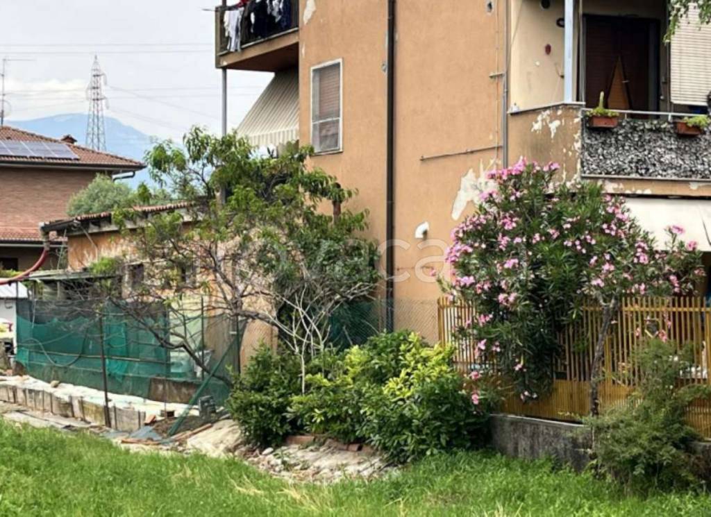 immagine annuncio 11 di 12