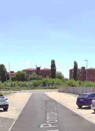 immagine annuncio 7 di 14